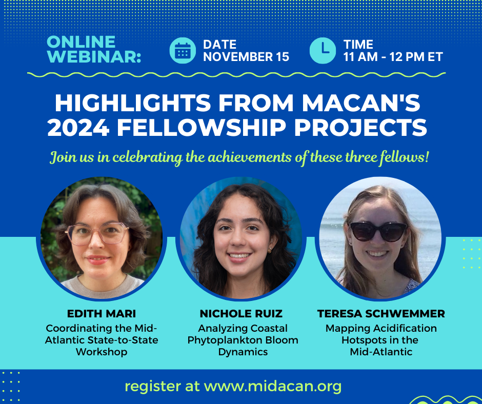 Flyer for webinar titled "Highlights from MACAN's 2024 Fellowship Projects"